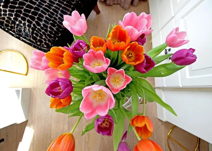 Vondelpark 4* Amsterdam